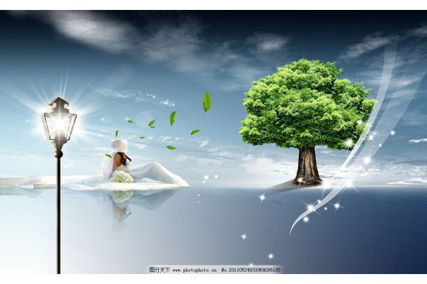 武汉桑拿板，养生好物性价比高！